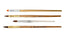 Sable Brushes