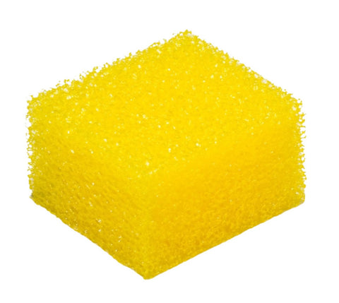 Body Sponge
