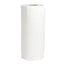 Paper Towel rolls - I032D