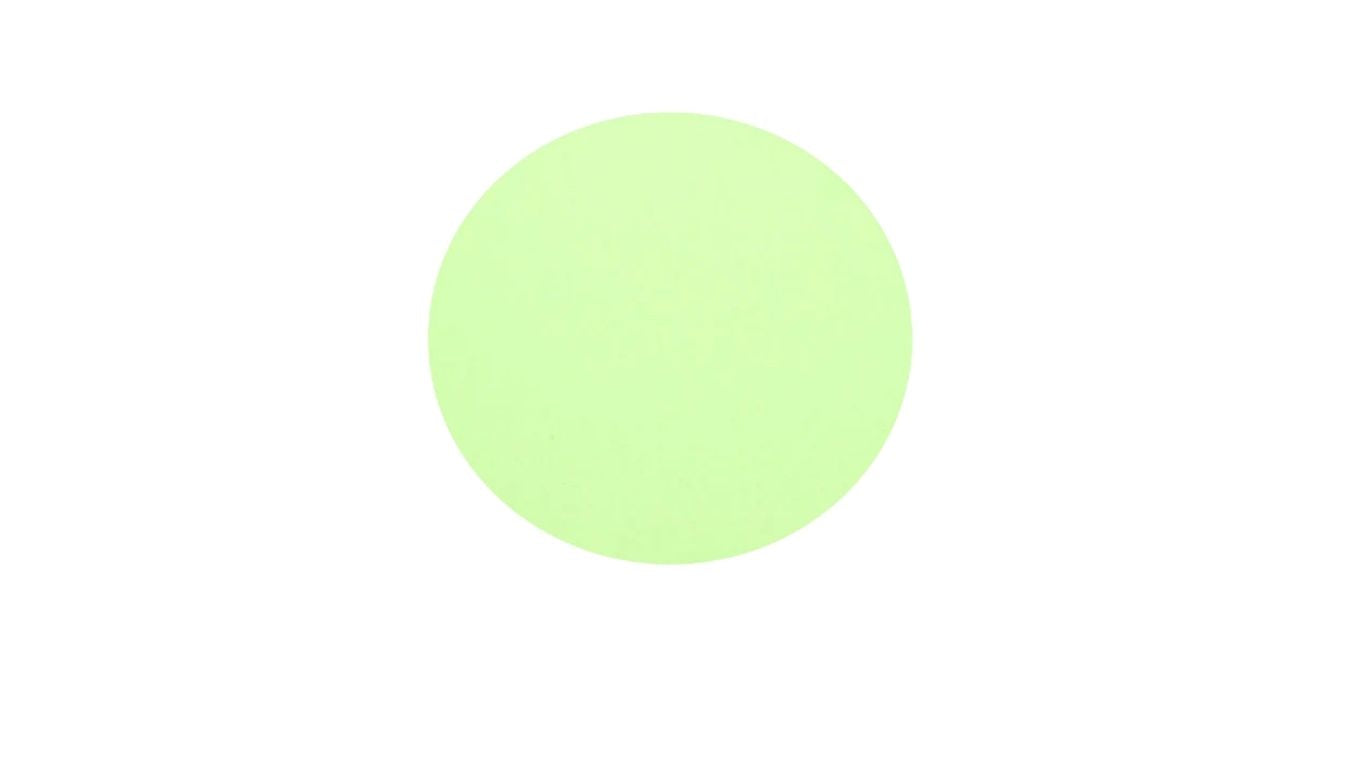 Concealer 3g