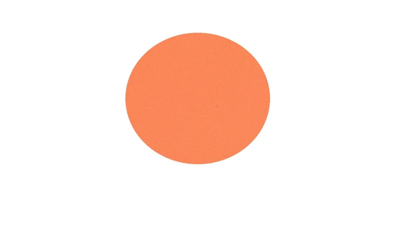 Concealer 3g