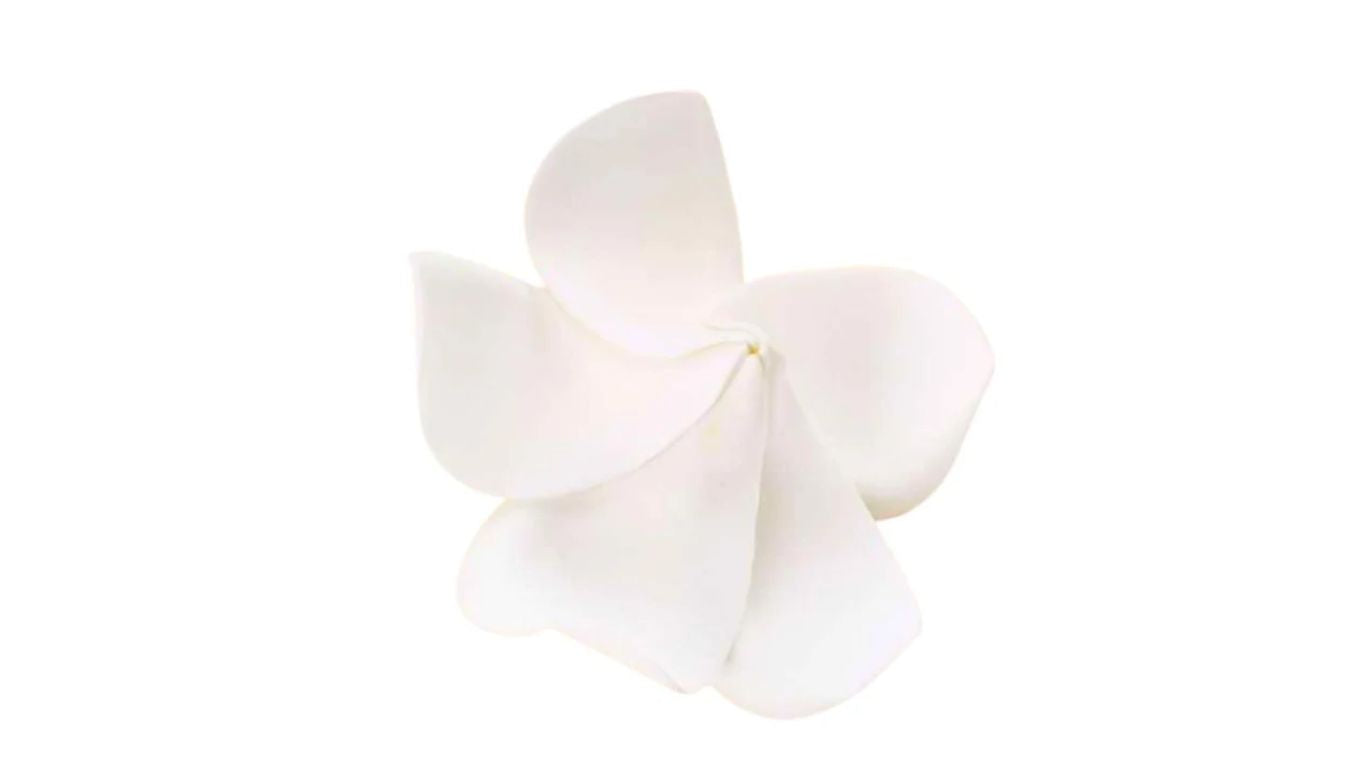 Frangipani Foam Flower