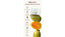 SKNLOGIC Brochure Stand & Inserts