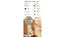 SKNLOGIC Brochure Stand & Inserts