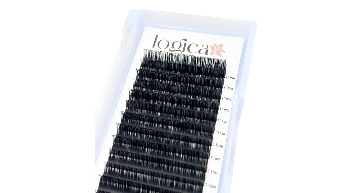 Volume Lashes (0.07, C & D Curl)