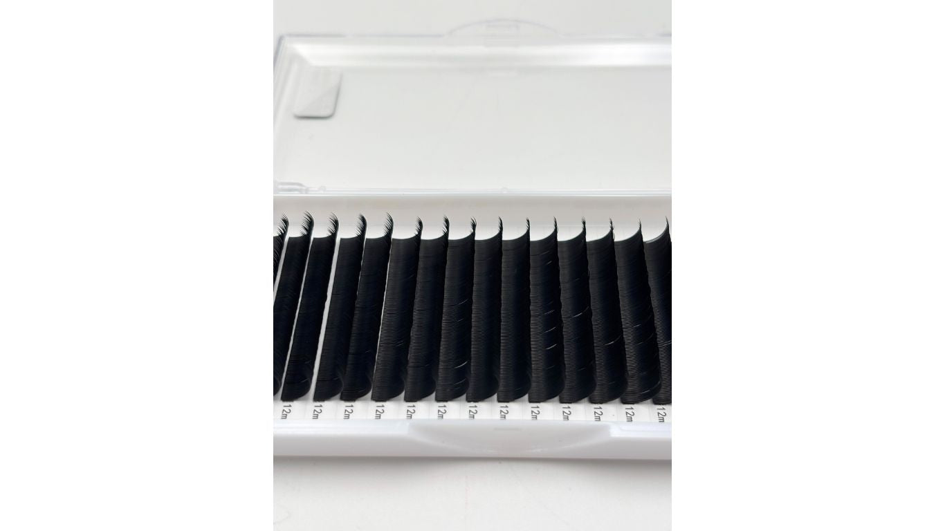 Classic Lashes (0.15 & 0.20, C Curl)