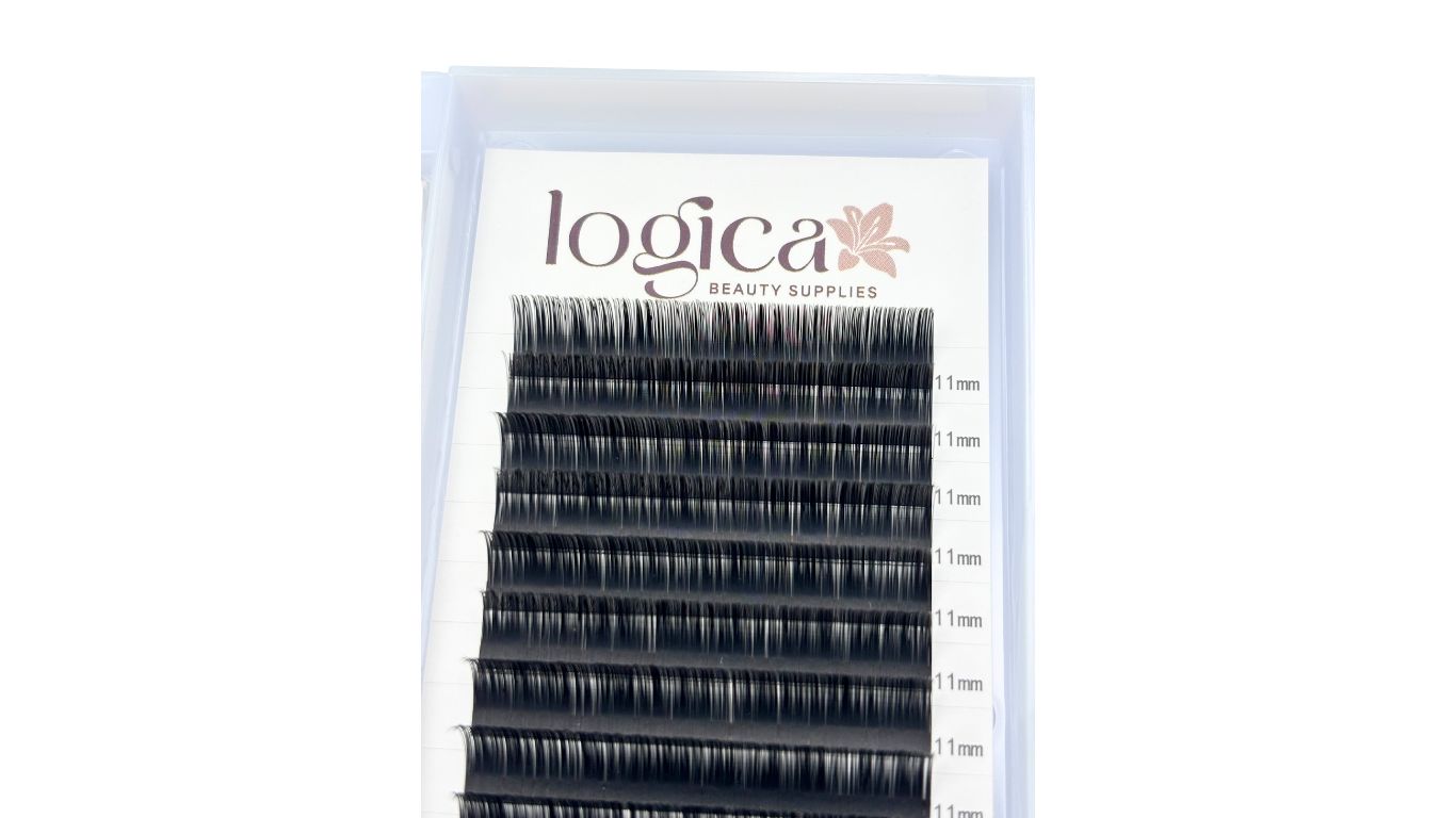 Volume Lashes (0.07, C & D Curl)