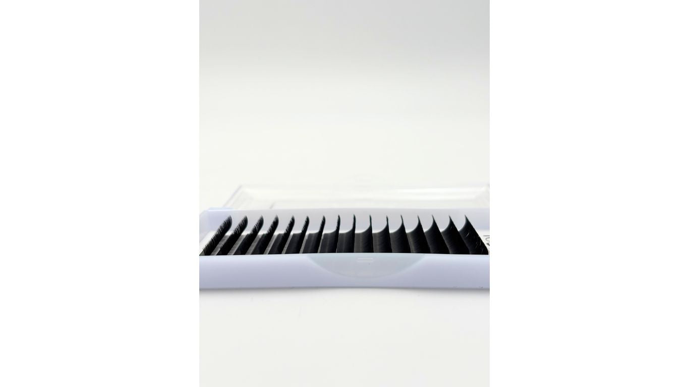 Volume Lashes (0.07, C & D Curl)