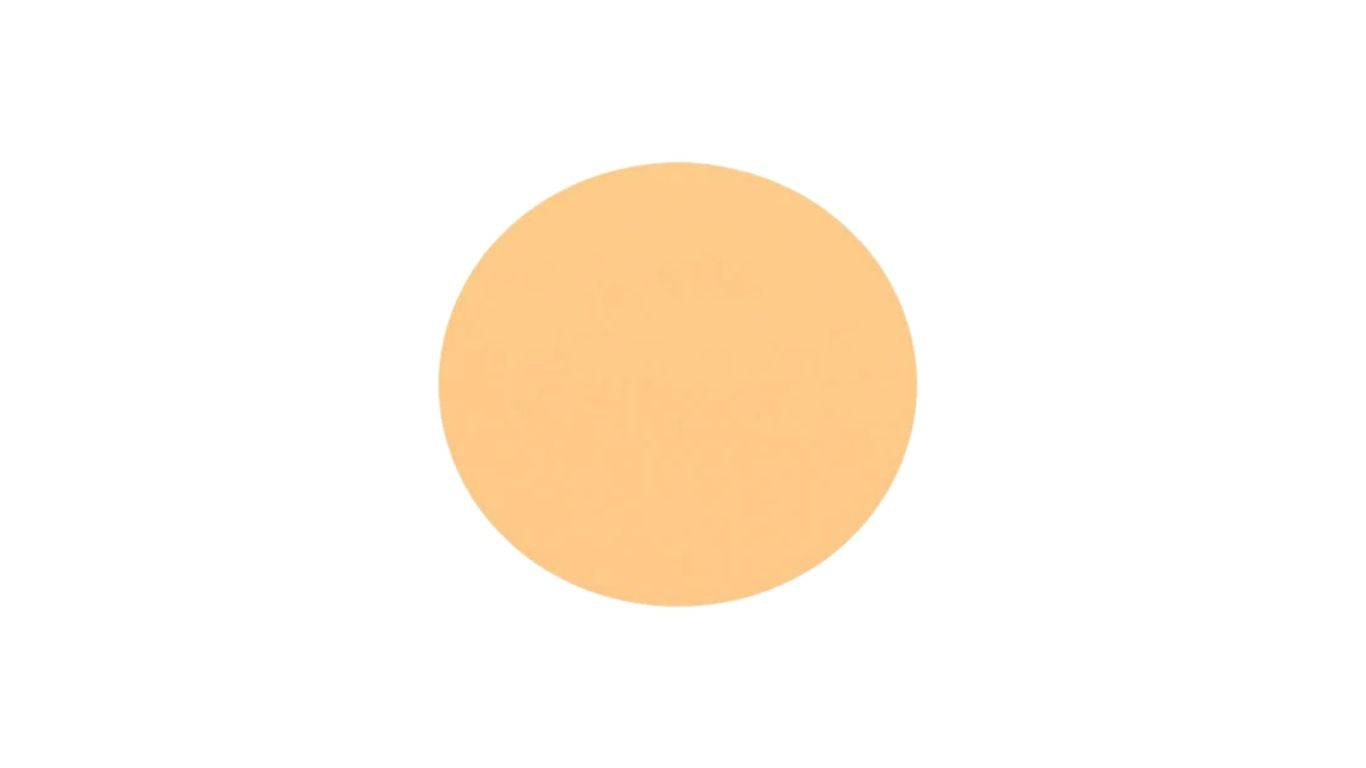 Foundation / Concealer 3g