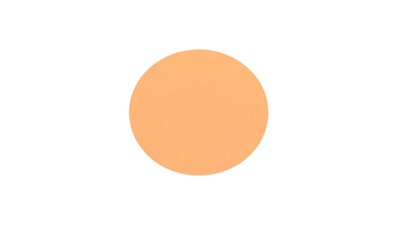 Foundation / Concealer 3g