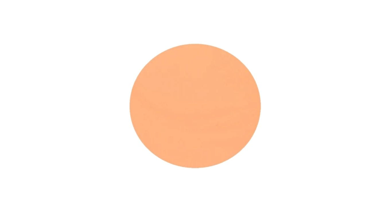 Foundation / Concealer 3g