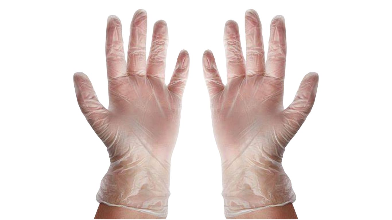 Vinyl Gloves Powder free 100's