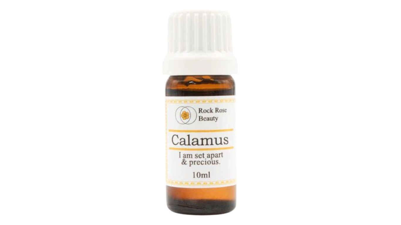 Calamus Oil 10ml