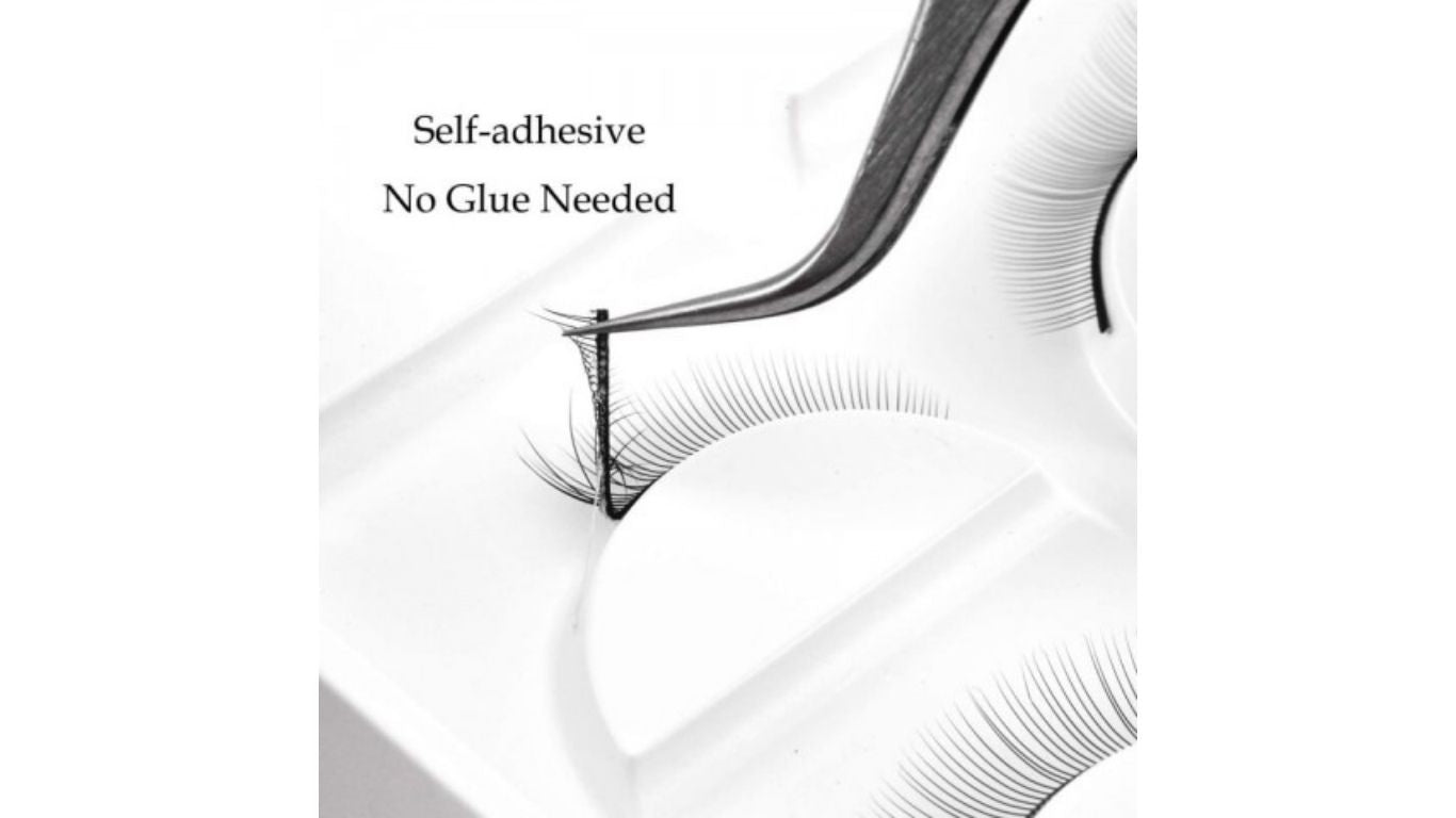 Training Eyelashes (5 pairs)