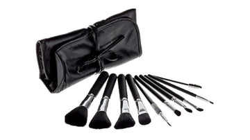 10 Piece Brush Set