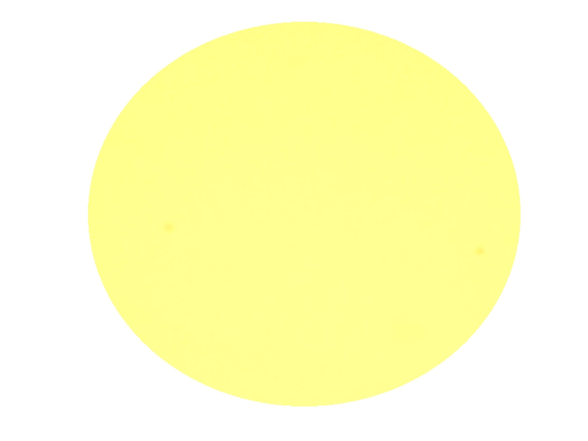 Concealer - MCC207