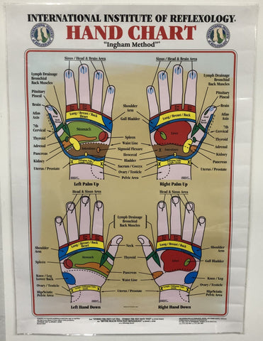 Poster - Reflexology - Hands - POSREFH